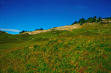 200_hiker-coming-down-from-cloudy-pass