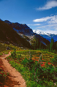 205_glacier-peak-from-cloudy-pass