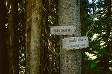 211_glacier-peak-from-suiattle-pass-descent