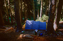 219_kidney-stone-camp-1