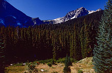 242_buck-mtn-and-mt-berge-from-buck-creek-trail