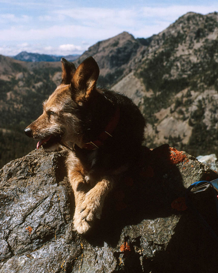 Micki atGrasshopper Pass