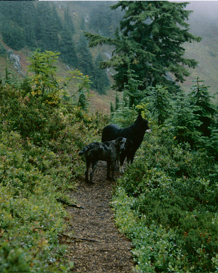 Pieper with Mica at Blue Lakes