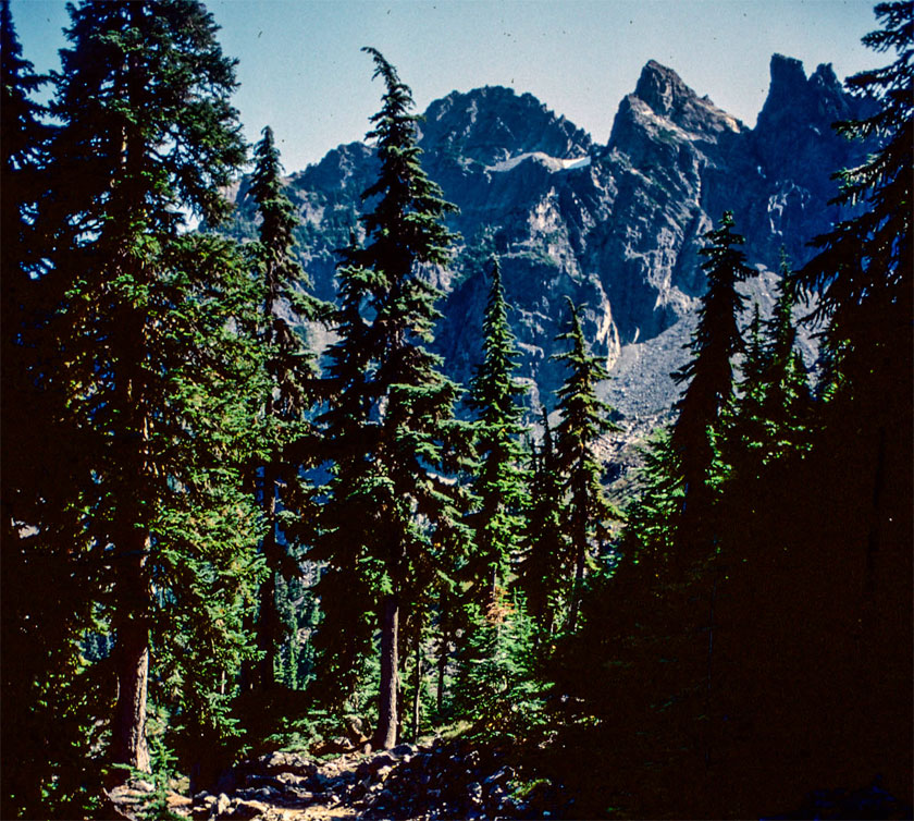 Three Queens Mountain near Spectacle Ridge