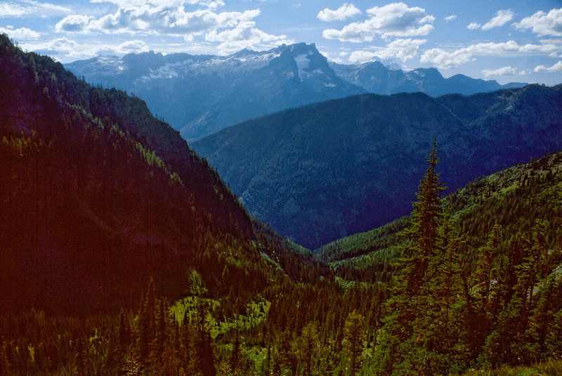 Looking west down Box Creek