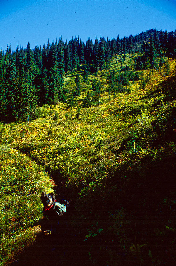 Headed up to Buck Creek Pass in sunshine