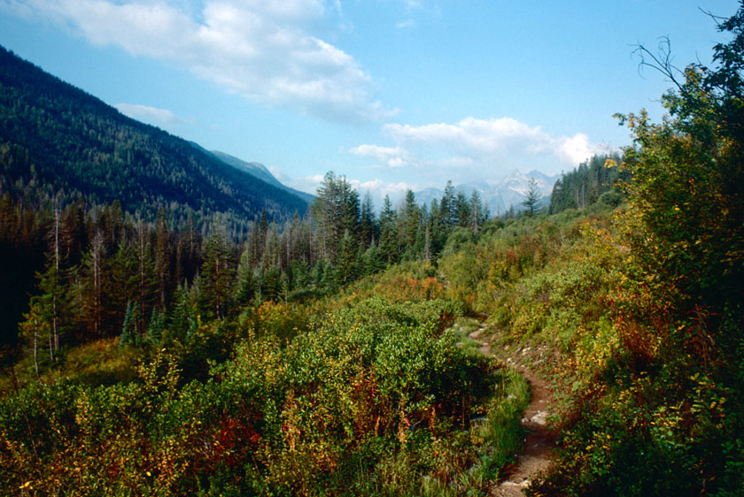 Continuing up PCT, Agnes Valley