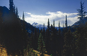 glacier-peak-from-suiattle-pass