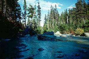 near-lyman-lake-outlet-stream