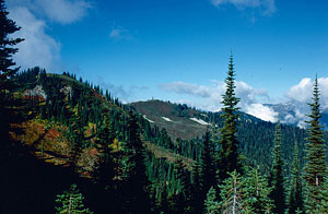 miners-ridge-fire-watch-tower