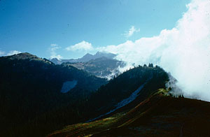 north-from-miners-ridge-lookout