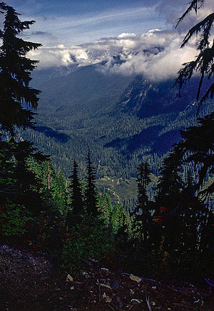 looking-down-at-milk-creek