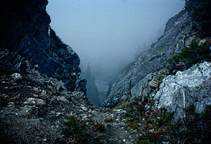 fog-on-fire-creek-pass