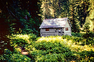 kennedy-hotsprings-cabin