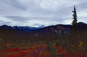 glacier-peak-from-white-pass-2