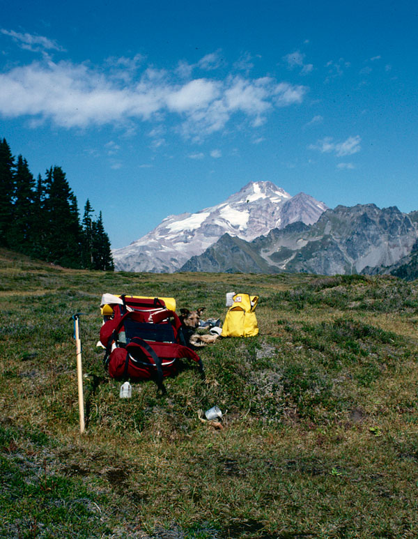 Micki and my pack at Red Pass