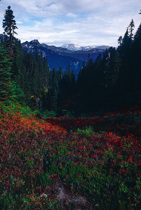 Glacier Peak from Wenatchee Pass