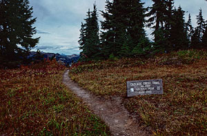 grizzly-peak-summit